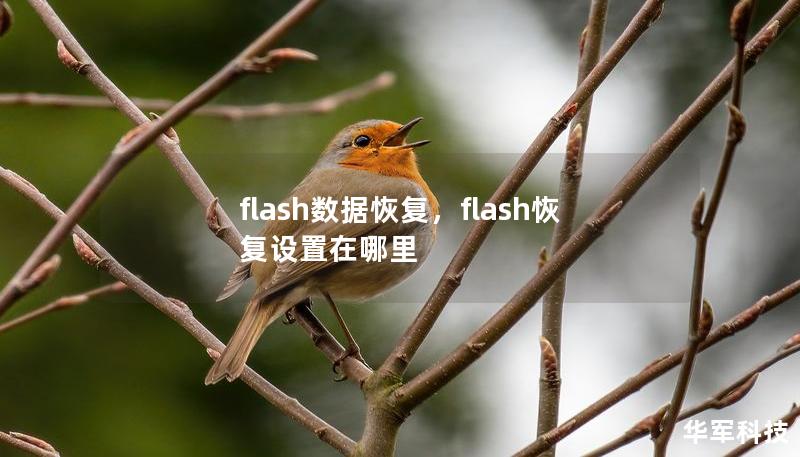 flash数据恢复，flash恢复设置在哪里