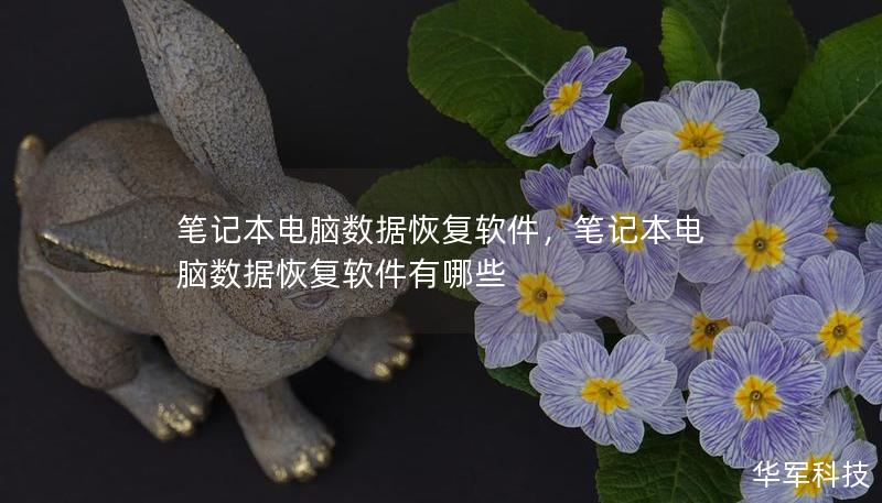 笔记本电脑数据恢复软件，笔记本电脑数据恢复软件有哪些