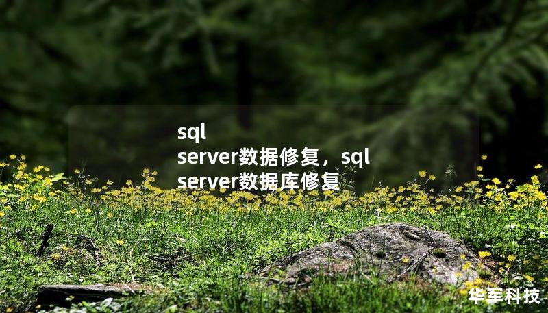 sql server数据修复，sql server数据库修复