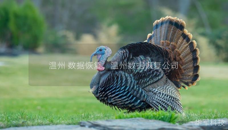温州 数据恢复，温州数据恢复公司