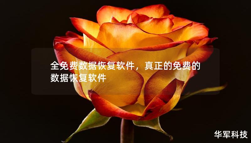 全免费数据恢复软件，真正的免费的数据恢复软件