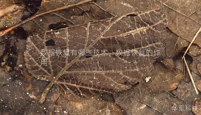 数据恢复有哪些技术，数据恢复的作用