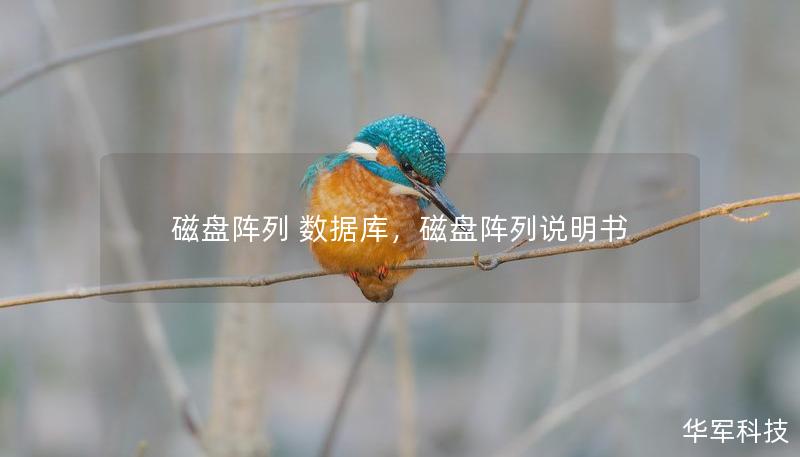 磁盘阵列 数据库，磁盘阵列说明书