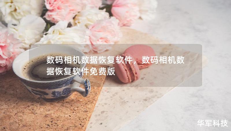 数码相机数据恢复软件，数码相机数据恢复软件免费版