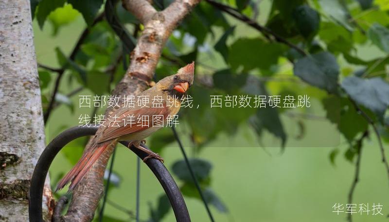 西部数据硬盘跳线，西部数据硬盘跳线接法详细图解