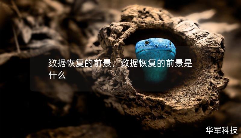 数据恢复的前景，数据恢复的前景是什么