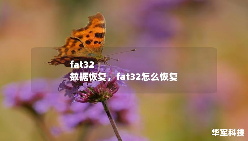 fat32 数据恢复，fat32怎么恢复