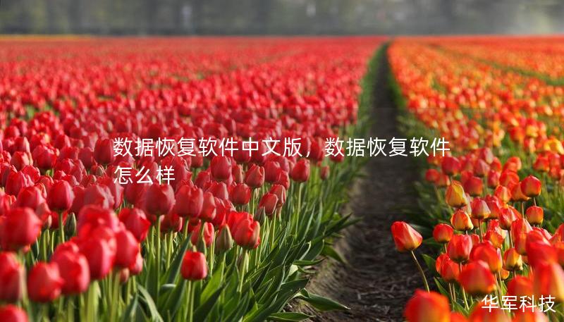 数据恢复软件中文版，数据恢复软件怎么样