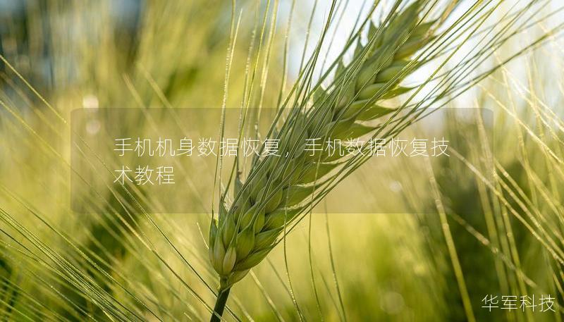 手机机身数据恢复，手机数据恢复技术教程