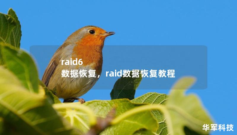 raid6 数据恢复，raid数据恢复教程
