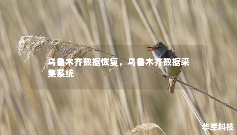 乌鲁木齐数据恢复，乌鲁木齐数据采集系统