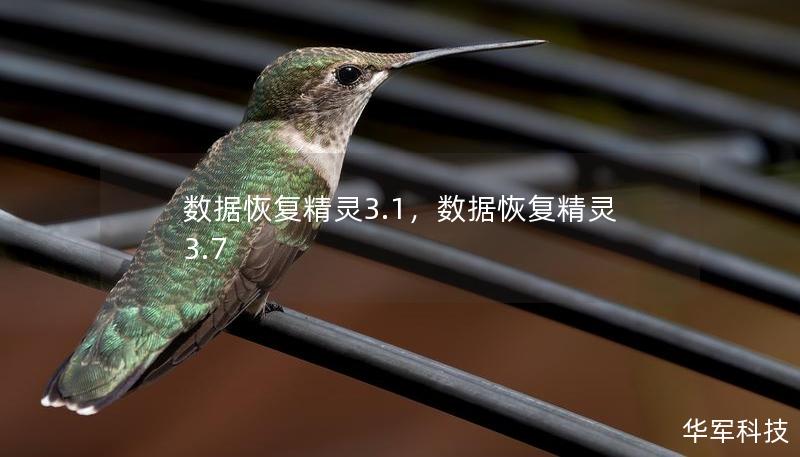 数据恢复精灵3.1，数据恢复精灵3.7