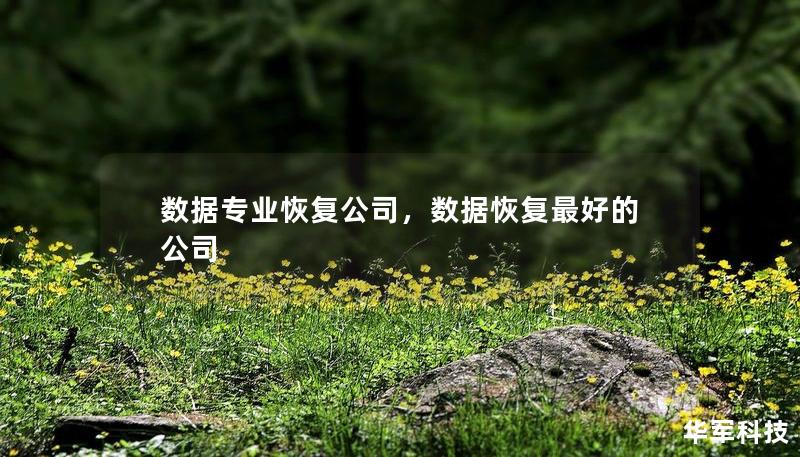 数据专业恢复公司，数据恢复最好的公司