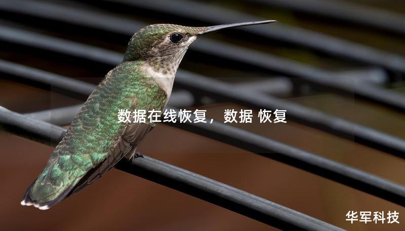 数据在线恢复，数据 恢复