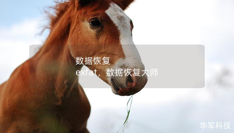 数据恢复 exfat，数据恢复大师