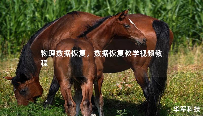 物理数据恢复，数据恢复教学视频教程