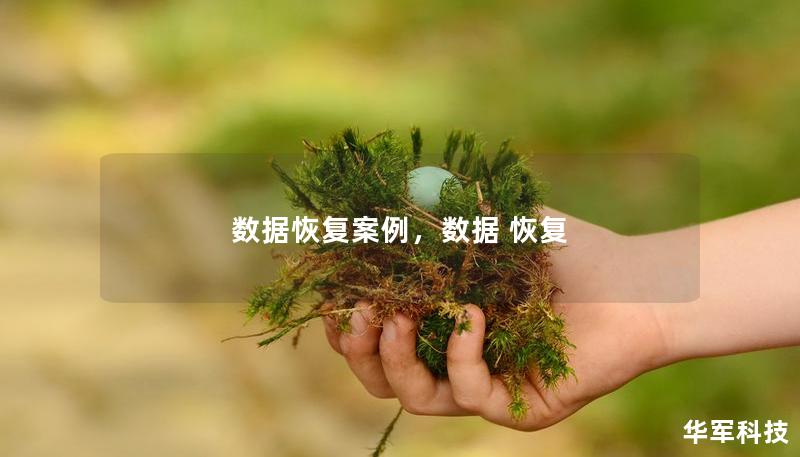 数据恢复案例，数据 恢复