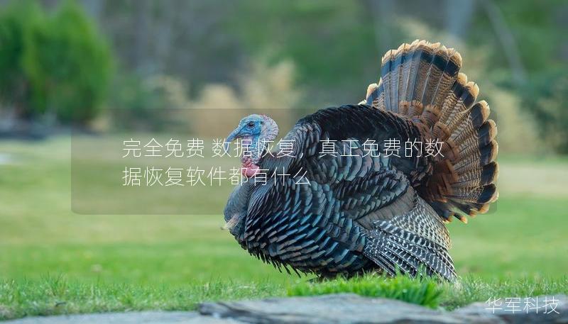 完全免费 数据恢复，真正免费的数据恢复软件都有什么