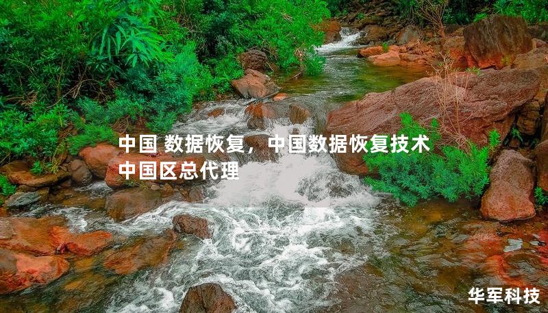 中国 数据恢复，中国数据恢复技术中国区总代理