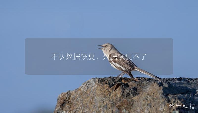 不认数据恢复，数据恢复不了