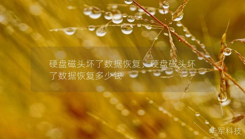 硬盘磁头坏了数据恢复，硬盘磁头坏了数据恢复多少钱