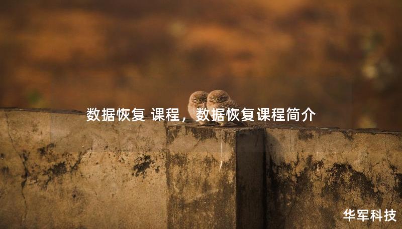 数据恢复 课程，数据恢复课程简介