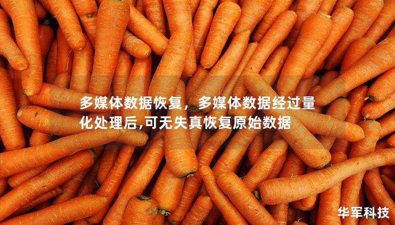 多媒体数据恢复，多媒体数据经过量化处理后,可无失真恢复原始数据