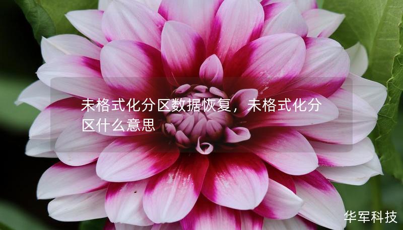 未格式化分区数据恢复，未格式化分区什么意思