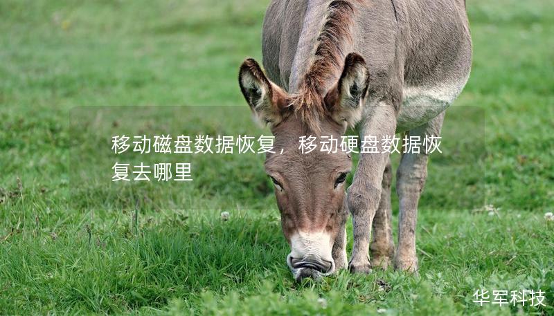 移动磁盘数据恢复，移动硬盘数据恢复去哪里