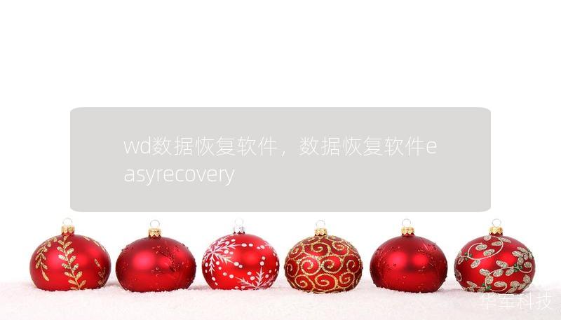 wd数据恢复软件，数据恢复软件easyrecovery