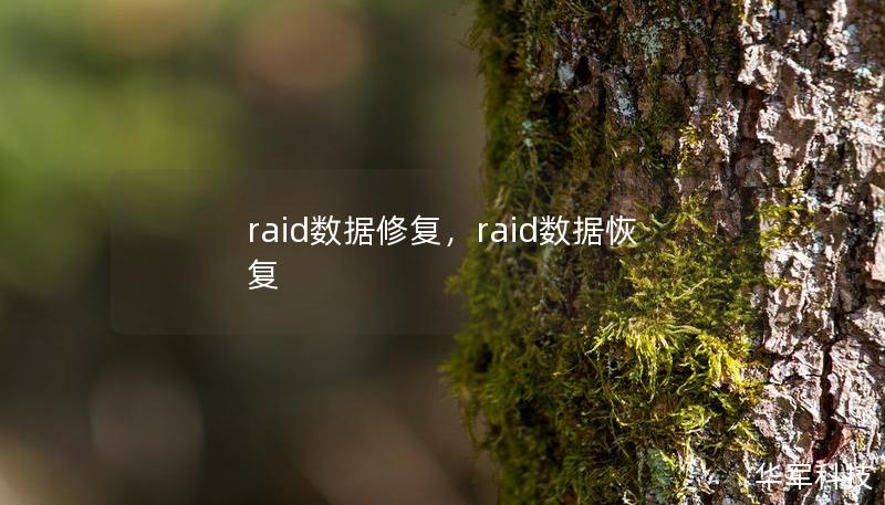 raid数据修复，raid数据恢复
