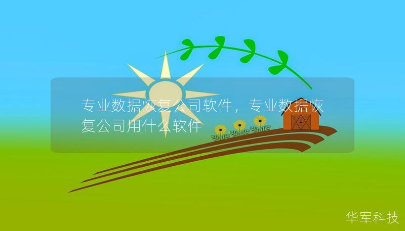 专业数据恢复公司软件，专业数据恢复公司用什么软件