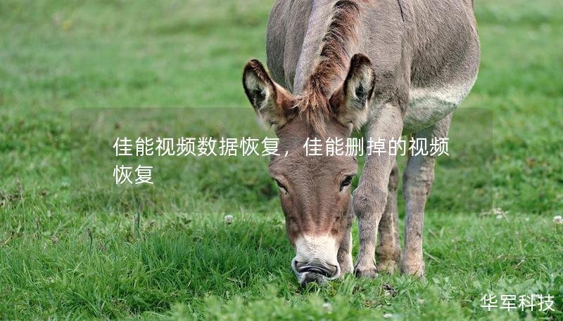 佳能视频数据恢复，佳能删掉的视频恢复
