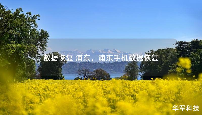数据恢复 浦东，浦东手机数据恢复