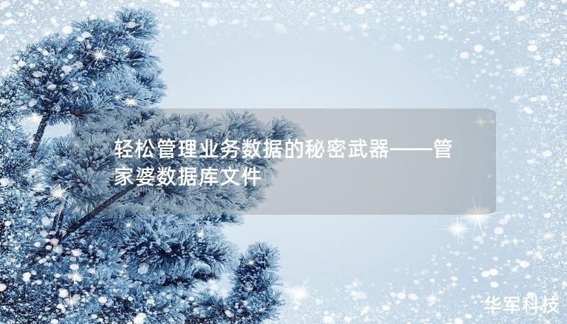 轻松管理业务数据的秘密武器——管家婆数据库文件