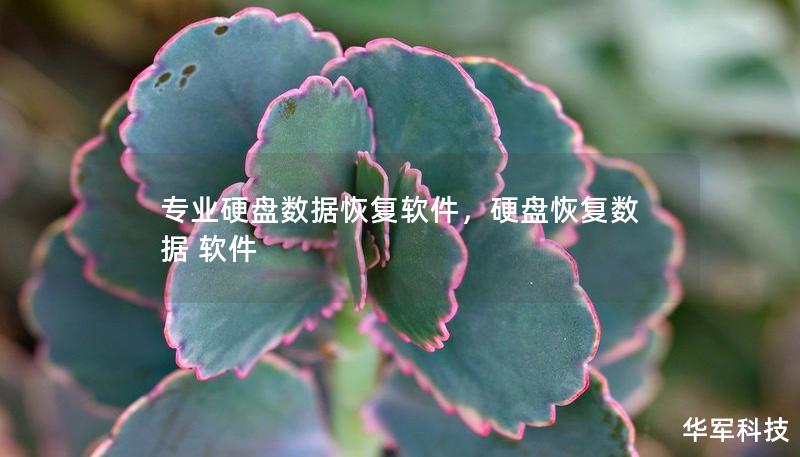 专业硬盘数据恢复软件，硬盘恢复数据 软件