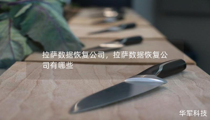 拉萨数据恢复公司，拉萨数据恢复公司有哪些