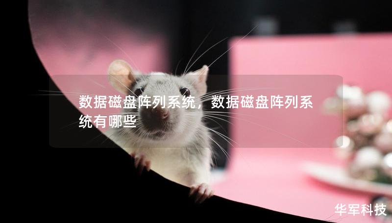 数据磁盘阵列系统，数据磁盘阵列系统有哪些