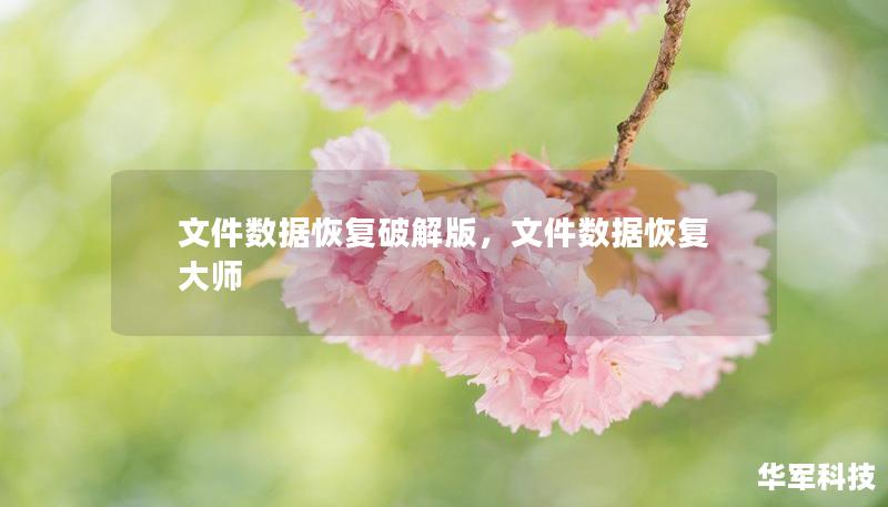 文件数据恢复破解版，文件数据恢复大师