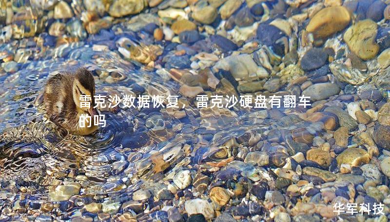 雷克沙数据恢复，雷克沙硬盘有翻车的吗