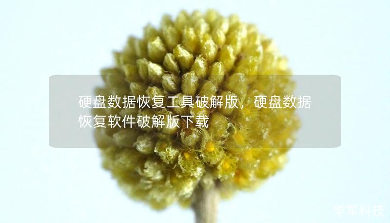 硬盘数据恢复工具破解版，硬盘数据恢复软件破解版下载