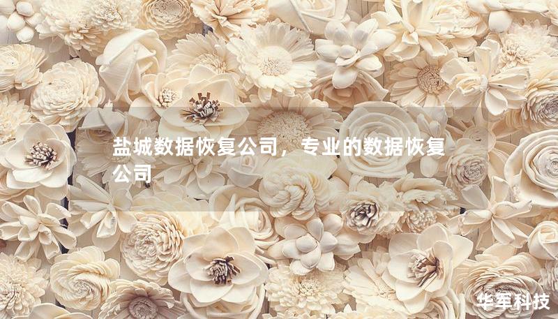 盐城数据恢复公司，专业的数据恢复公司