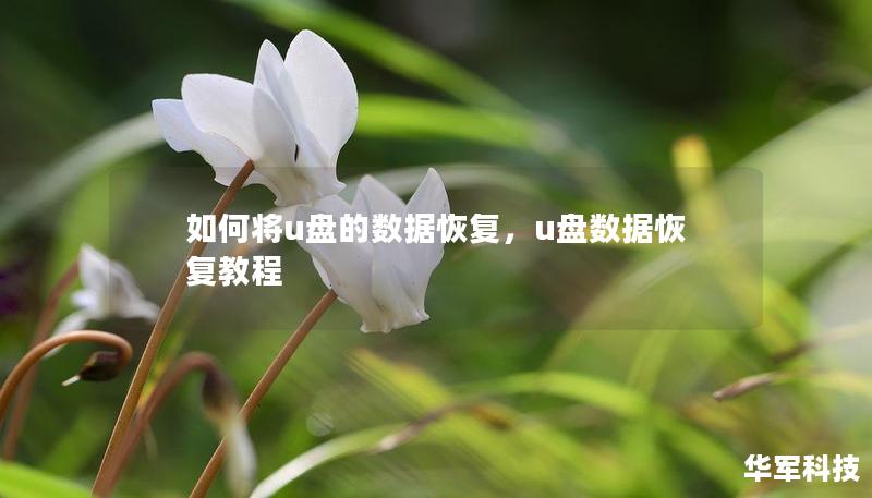 如何将u盘的数据恢复，u盘数据恢复教程