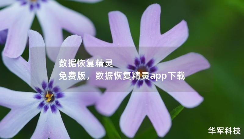 数据恢复精灵 免费版，数据恢复精灵app下载