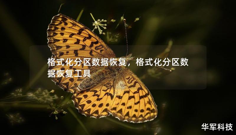 格式化分区数据恢复，格式化分区数据恢复工具