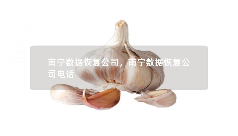 南宁数据恢复公司，南宁数据恢复公司电话