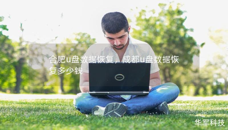 合肥u盘数据恢复，成都u盘数据恢复多少钱