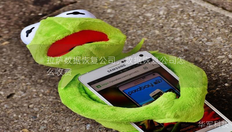 拉萨数据恢复公司，数据恢复公司怎么收费