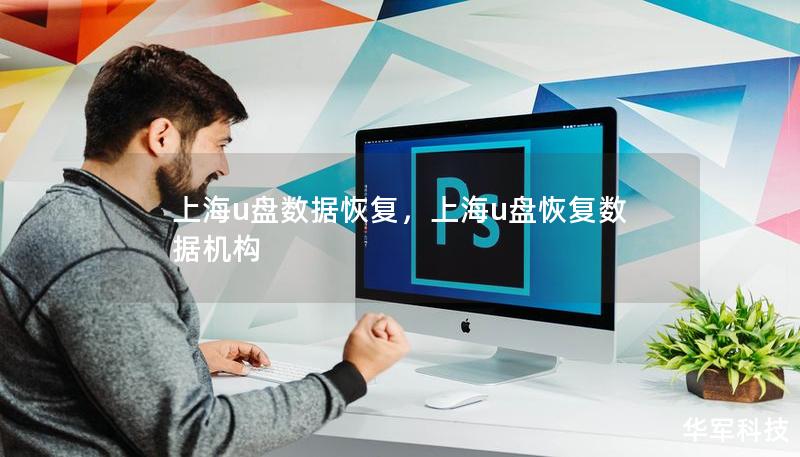 上海u盘数据恢复，上海u盘恢复数据机构