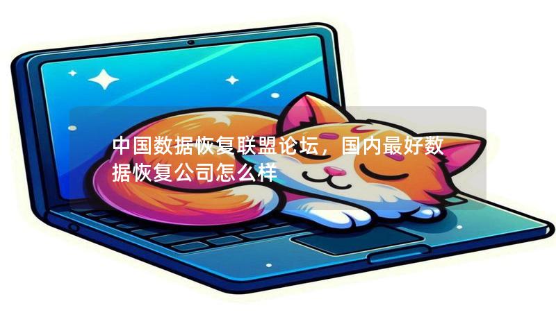 中国数据恢复联盟论坛，国内最好数据恢复公司怎么样
